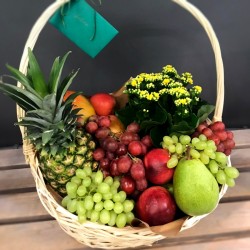 Fruit Basket with a plant