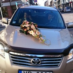 Wedding car decor with...