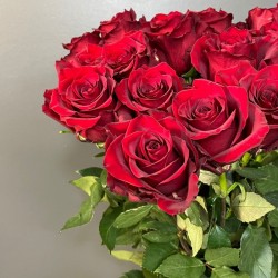 Red roses 50/60cm