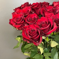 Sarkanas rozes 50/60cm