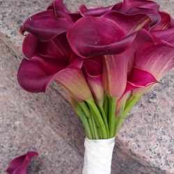 Bridal bouquet Callas