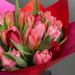 Bouquet of pink tulips