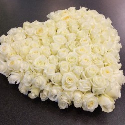 Baltu rožu ziedu sirds