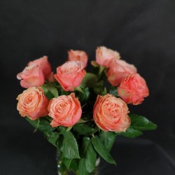 Light pink roses 50/70cm