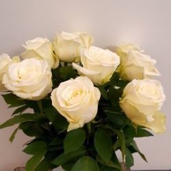 White roses 40/60/70cm