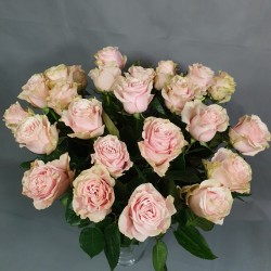 Gentle pink roses 40/60cm