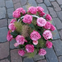 Pink roses in basket