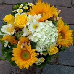 Sunflower sparkle