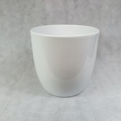 White flower pot